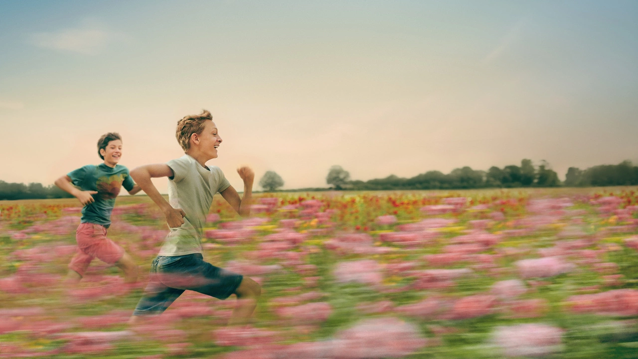 Scene of boys running through flower fields'