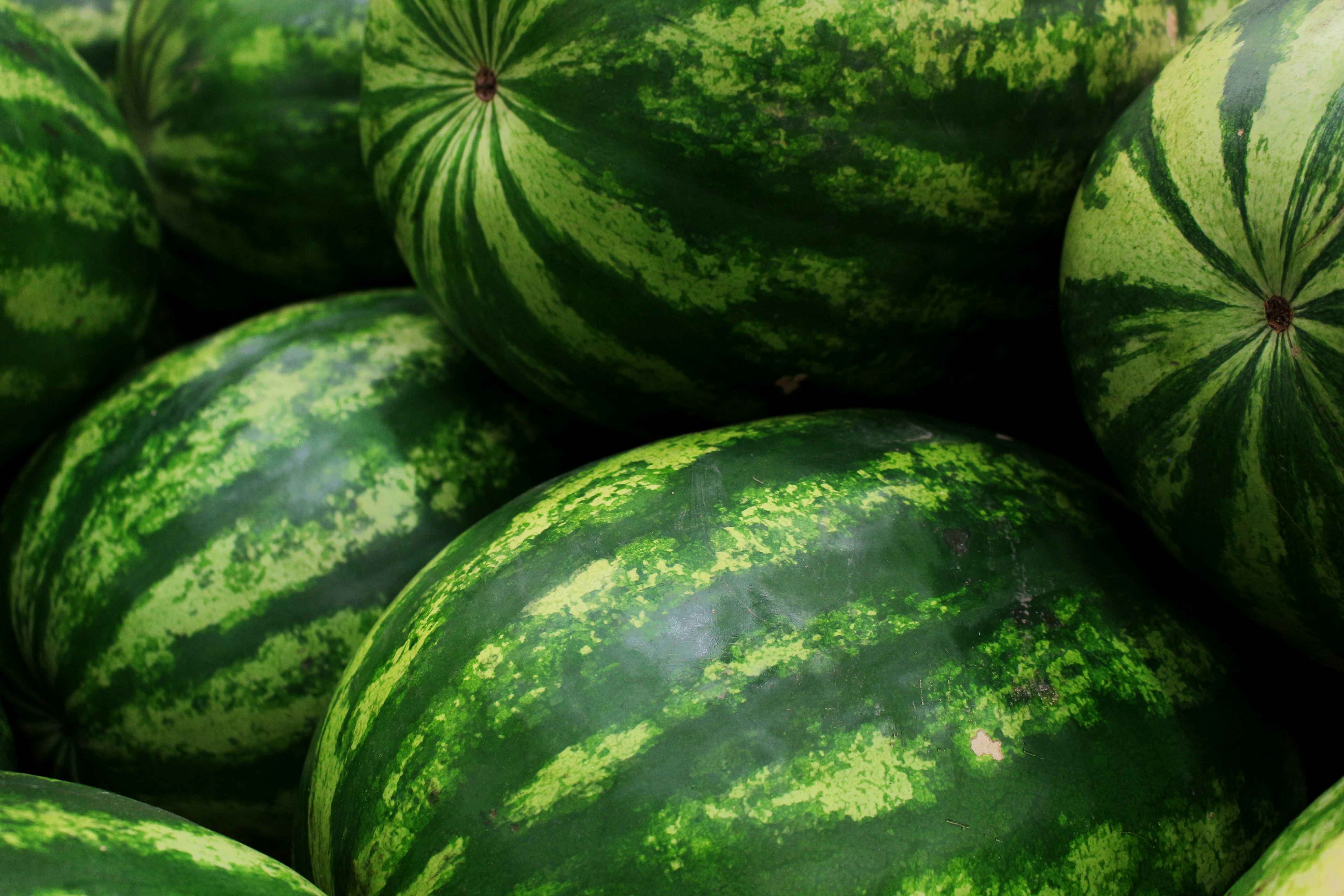 Watermelon